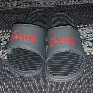 Grizzly Slides